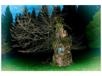 Siegmar und Marcel Riede