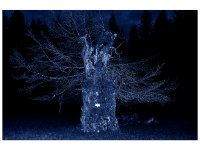 Siegmar und Marcel Riede