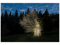 Siegmar und Marcel Riede