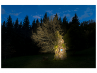 Siegmar und Marcel Riede