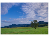 Zwischen Weilstetten und Rosswangen