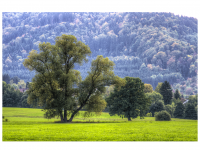 Zwischen Weilstetten und Rosswangen