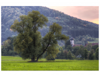 Zwischen Weilstetten und Rosswangen