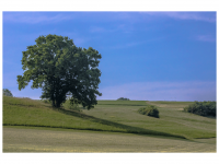 Nähe Steinefurthof zwischen Geislingen und Rosenfeld