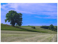 Nähe Steinefurthof zwischen Geislingen und Rosenfeld