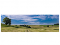 Nähe Steinefurthof zwischen Geislingen und Rosenfeld