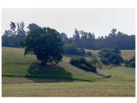 Nähe Steinefurthof zwischen Geislingen und Rosenfeld