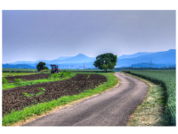 Zwischen Weilstetten und Rosswangen