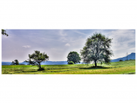 Zwischen Weilstetten und Rosswangen