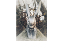 Christel Schäfer - Boller Hasawedl