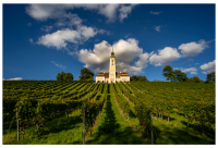 Markus Damker - Basilika Birnau