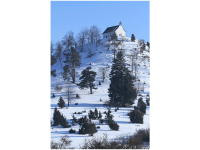 Salmendingen, Bodelshausen