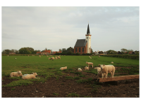 Bodelshausen, Salmendingen