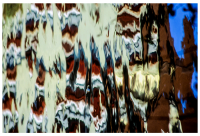 Wasserspiegelung abstrakt - Elke Langstein-Jäger