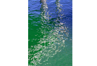 zwei Pfähle - Elke Langstein-Jäger