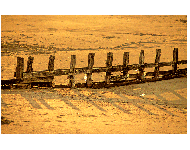 Vereinswettbewerb vom 18.09.2017 