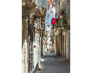 Vereinswettbewerb vom 11.07.2016 