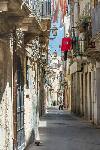 Vereinswettbewerb vom 11.07.2016 