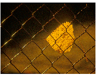 Vereinswettbewerb vom 18.09.2017 