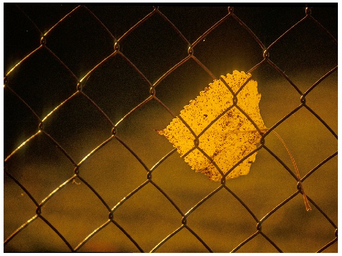 Vereinswettbewerb vom 18.09.2017 