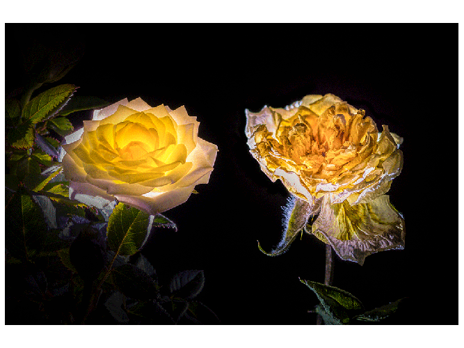 Vereinswettbewerb vom 20.02.2017 - 