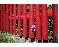 Vereinswettbewerb vom 18.09.2017 