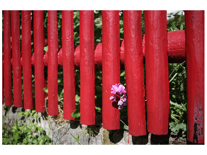 Vereinswettbewerb vom 18.09.2017 