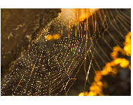 Vereinswettbewerb vom 29.05.2017 