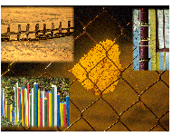 Vereinswettbewerb vom 18.09.2017 