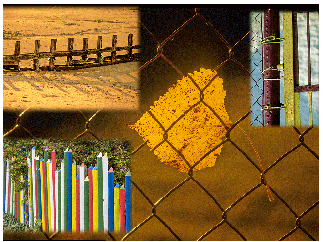 Vereinswettbewerb vom 18.09.2017 