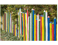 Vereinswettbewerb vom 18.09.2017 