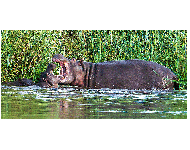 Vereinswettbewerb vom 20.02.2017 - 