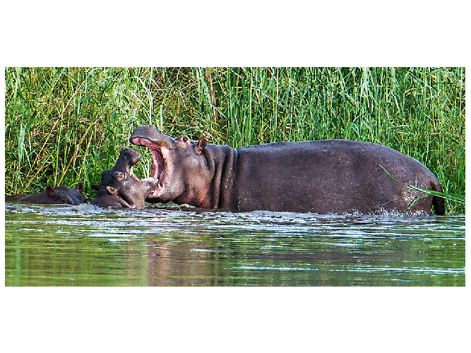 Vereinswettbewerb vom 20.02.2017 - 