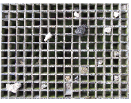 Vereinswettbewerb vom 18.09.2017 